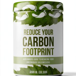 Recycling eBook by Amazon – 40‑Page Environmental Science Short Read-0